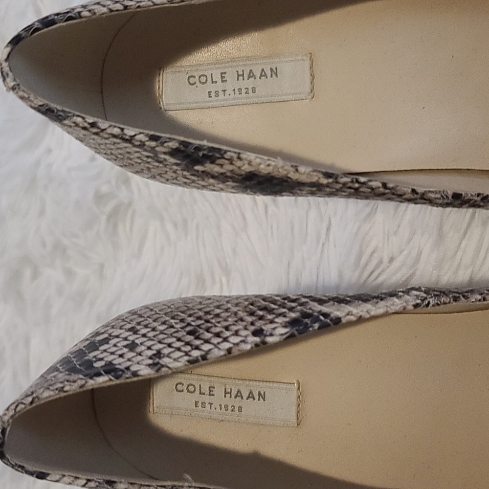 Cole Haan | snake skin heel | sz 9 - Picture 9 of 13